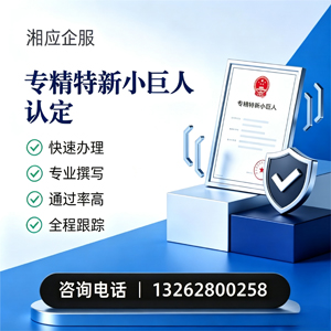 唐山专精特新小巨人申报服务