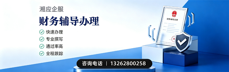 唐山财务辅导申请服务