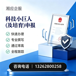 唐山科技小巨人及培育企业申报服务