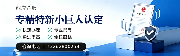 唐山专精特新小巨人申报服务